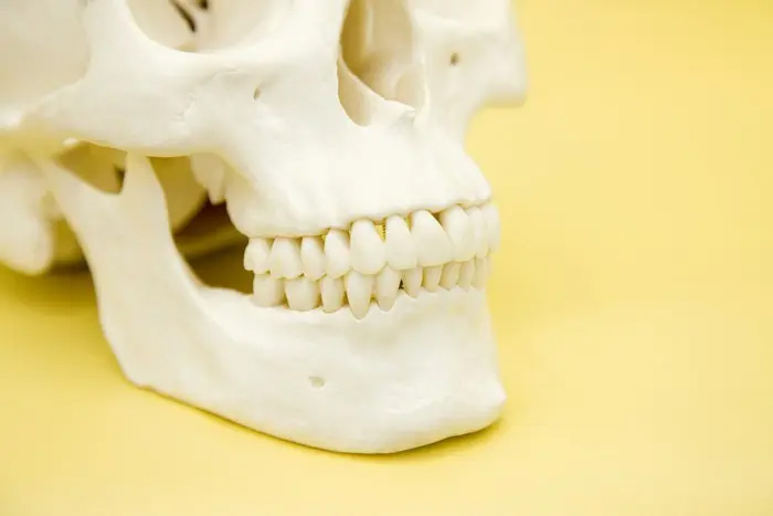 経堂（世田谷区）の歯医者、K.i歯科、噛み合わせ症候群の原因